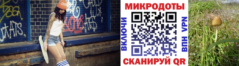 Псилоцибиновые грибы мухоморы  mega онион  Кемь 