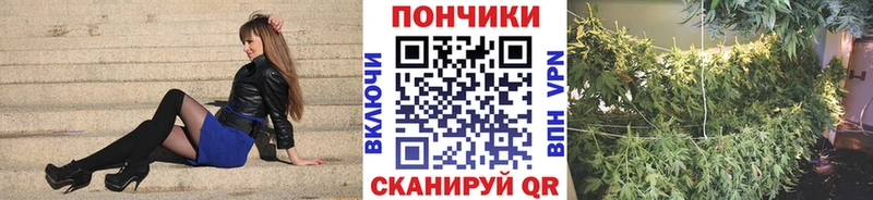 дарнет шоп  Кемь  Бошки Шишки семена 